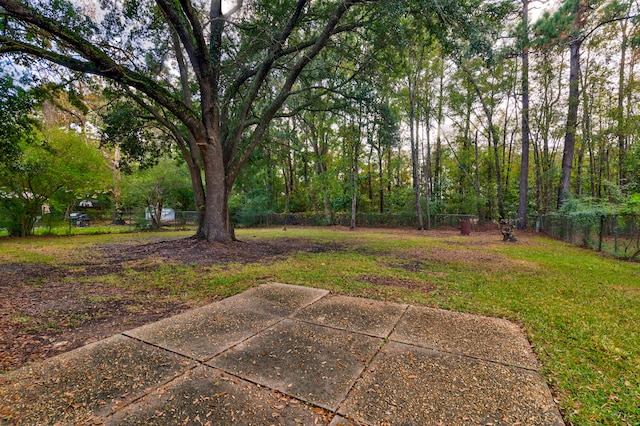 view of yard featuring a patio area