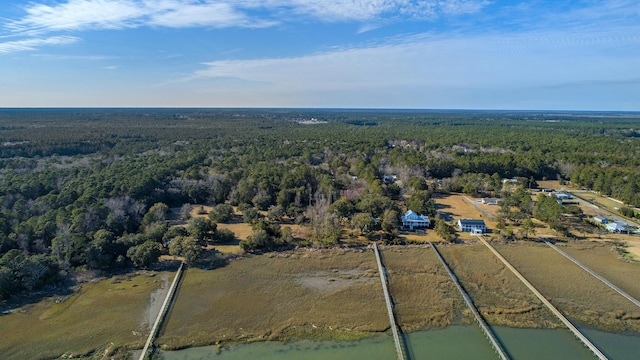 0 Doar Rd, Awendaw, SC 29429 - drone / aerial view of a heavily wooded area