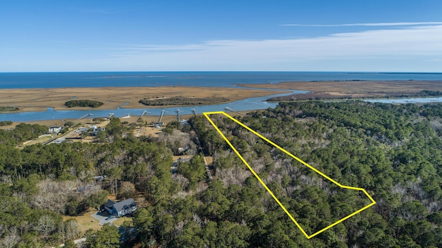 0 Doar Rd, Awendaw, SC 29429 - aerial overview of property's location featuring a nearby body of water, a forest, and property boundaries highlighted