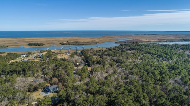 0 Doar Rd, Awendaw, SC 29429 - view of property location featuring a nearby body of water and a forest