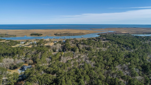 0 Doar Rd, Awendaw, SC 29429 - aerial view of property and surrounding area featuring a nearby body of water and a forest