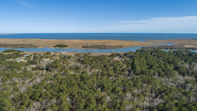 0 Doar Rd, Awendaw, SC 29429 - aerial view of property and surrounding area with a large body of water