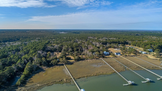 0 Doar Rd, Awendaw, SC 29429 - aerial view of property's location featuring a heavily wooded area and a nearby body of water