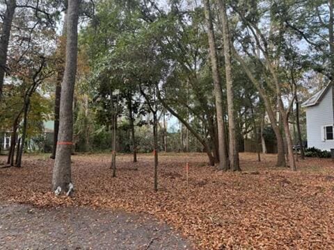 Listing photo 2 for 5 Garfields Way, Bluffton SC 29910