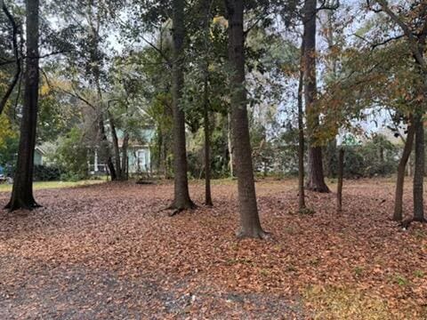 Listing photo 3 for 5 Garfields Way, Bluffton SC 29910