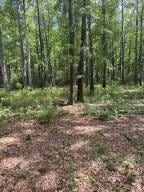 0 White Sands Rd, Walterboro SC, 29488 land for sale