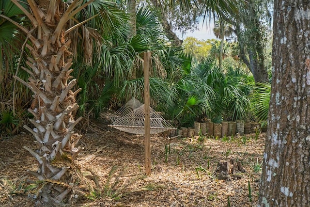 818 Club Cottage Ct, Edisto Beach, SC 29438 - view of nature