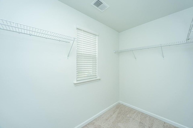 spacious closet with light colored carpet