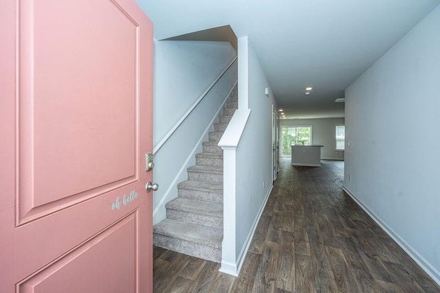 staircase with hardwood / wood-style floors