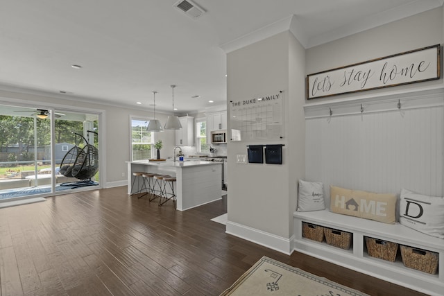 4019 Cascades Thrust, Summerville, SC 29483 - mudroom featuring recessed lighting, baseboards, ornamental molding, dark wood finished floors, and visible vents
