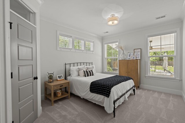 4019 Cascades Thrust, Summerville, SC 29483 - bedroom with multiple windows, light carpet, and crown molding