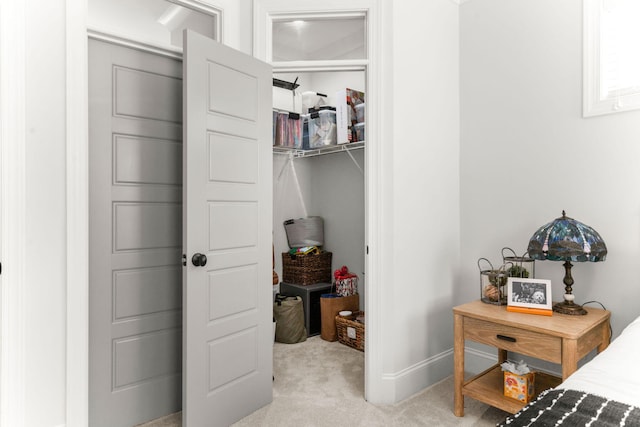 4019 Cascades Thrust, Summerville, SC 29483 - view of closet