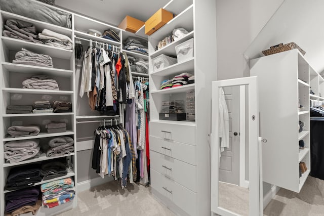 4019 Cascades Thrust, Summerville, SC 29483 - walk in closet with carpet floors