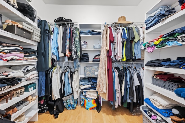 walk in closet featuring wood finished floors