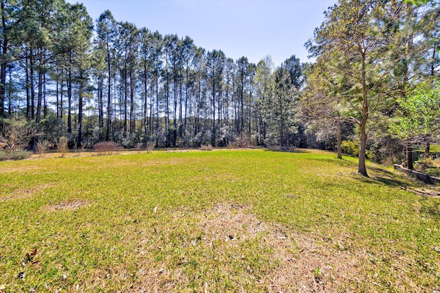 view of yard with a wooded view