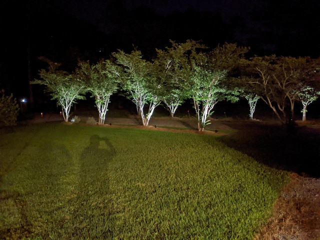 view of yard at night