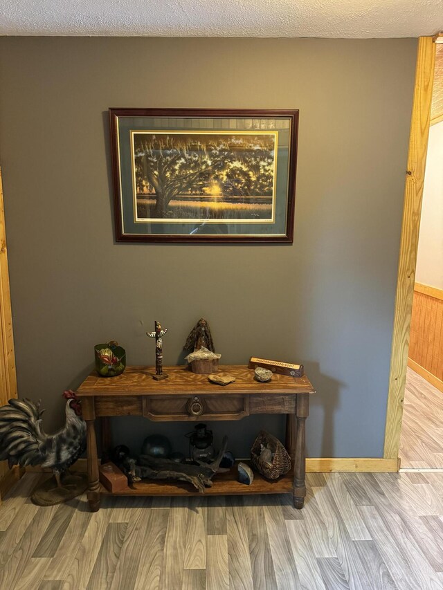 room details featuring wainscoting, a textured ceiling, baseboards, and wood finished floors