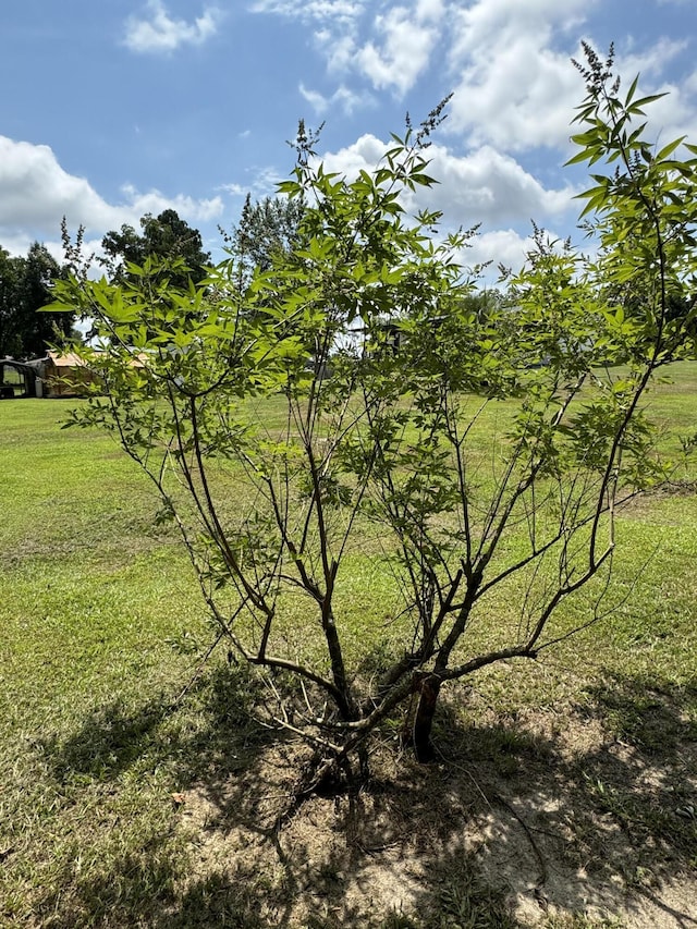 view of nature