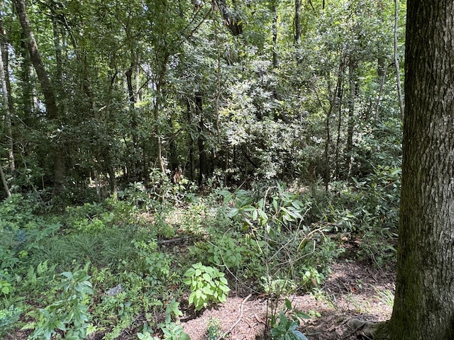 view of local wilderness featuring a view of trees