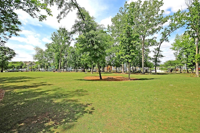 view of community featuring a yard