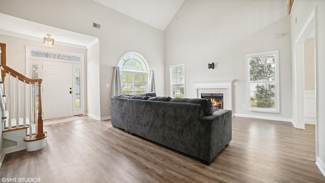 living room featuring high vaulted ceiling and hardwood / wood-style flooring