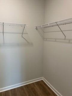 walk in closet featuring dark hardwood / wood-style flooring