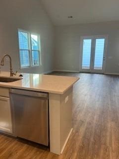 kitchen with stainless steel dishwasher, light hardwood / wood-style floors, sink, and a wealth of natural light