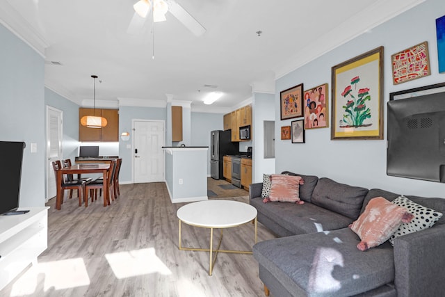 living room featuring ceiling fan, light hardwood / wood-style floors, and crown molding