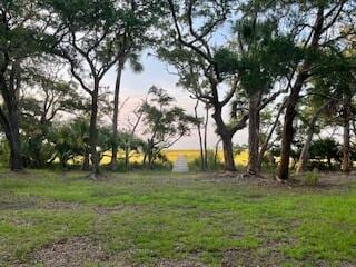 Listing photo 2 for 0 Hammocks Way, Edisto Island SC 29438