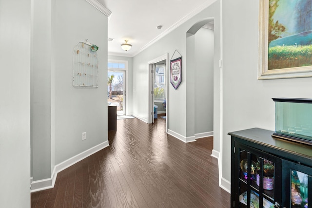 hall featuring crown molding and dark wood-type flooring