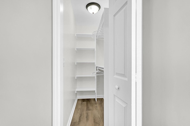 spacious closet with hardwood / wood-style floors