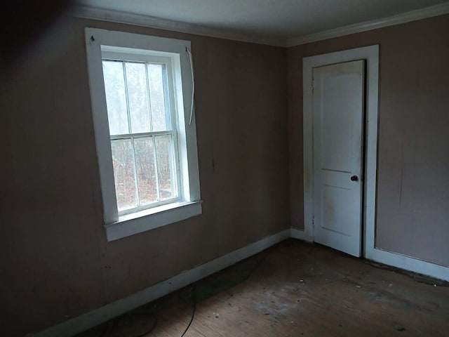 interior space featuring ornamental molding