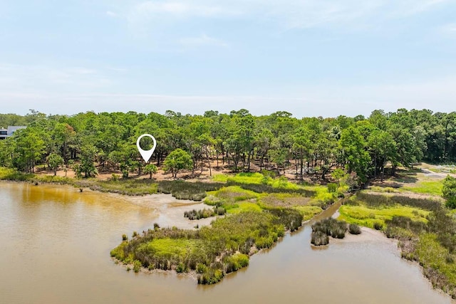 8119 Jack Island Dr, Johns Island SC, 29455 land for sale