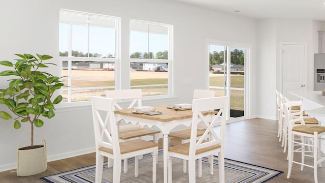 dining space featuring hardwood / wood-style floors