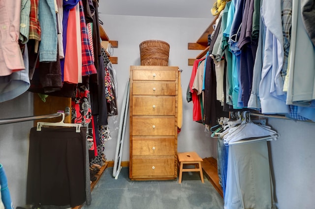 spacious closet featuring carpet flooring