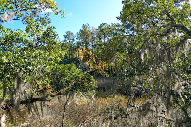 view of nature