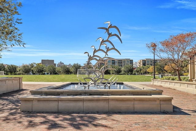 view of community featuring a lawn