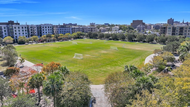 aerial view