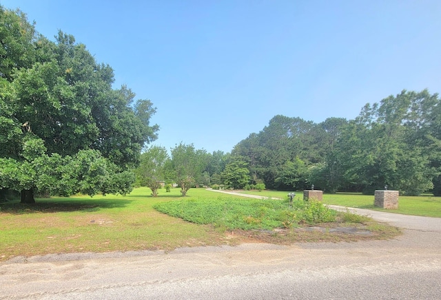 0 Estate Ct, Orangeburg, SC 29115
