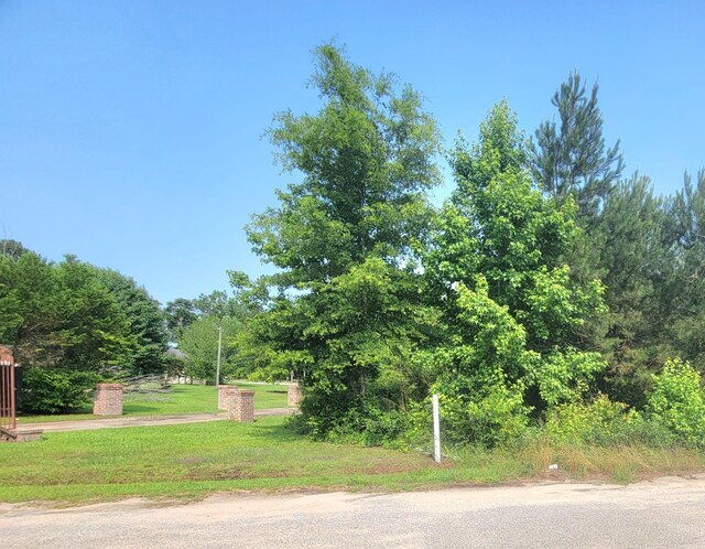 0 Estate Ct, Orangeburg, SC 29115