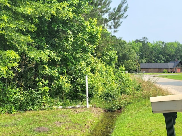 0 Estate Ct, Orangeburg, SC 29115