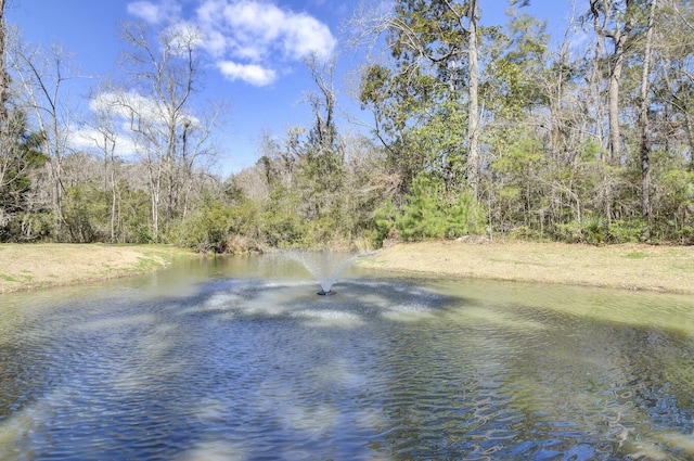 view of water feature featuring a forest view