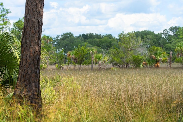 view of nature