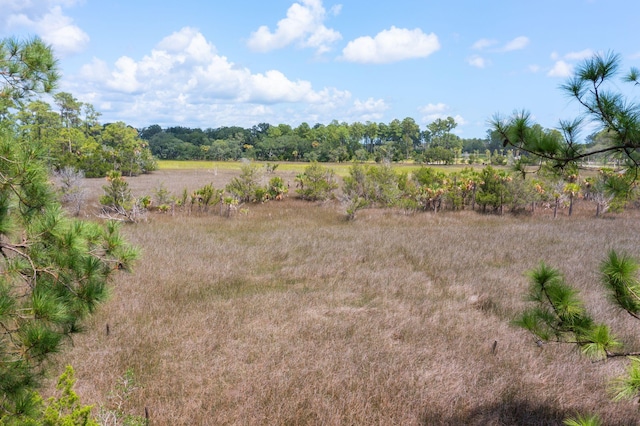 view of mother earth's splendor featuring a rural view