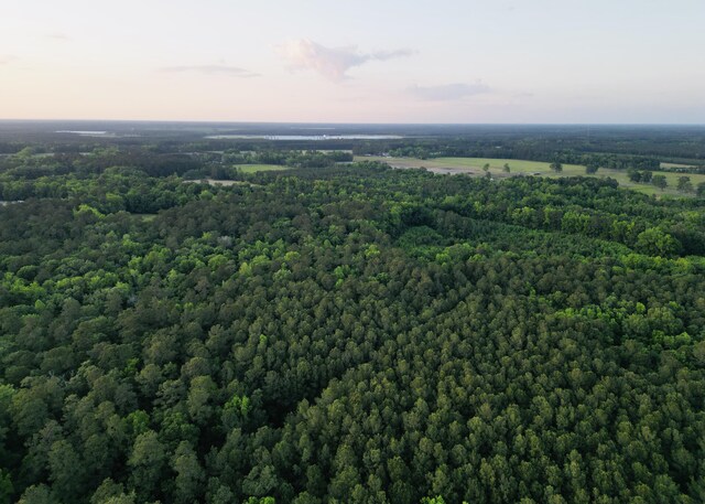 00 Fivel Ln, Ridgeville, SC 29472