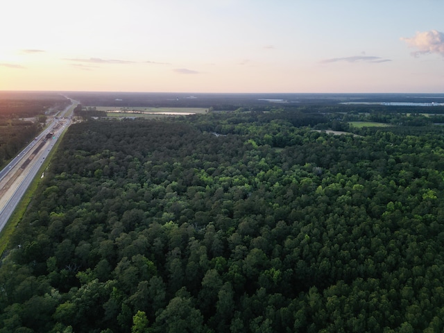 00 Fivel Ln, Ridgeville, SC 29472