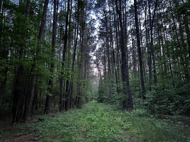 00 Fivel Ln, Ridgeville, SC 29472