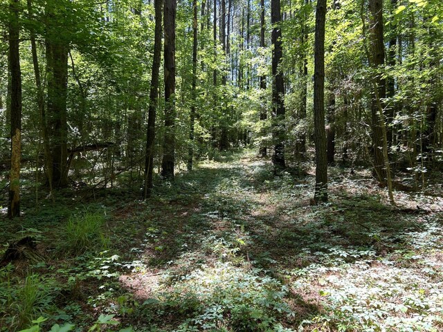 00 Fivel Ln, Ridgeville, SC 29472
