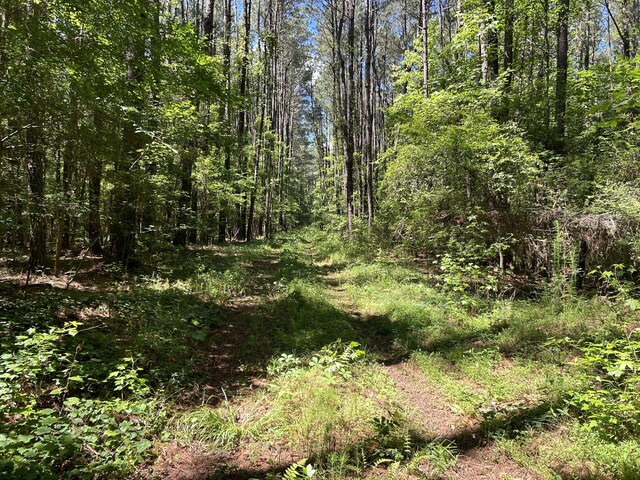 00 Fivel Ln, Ridgeville, SC 29472