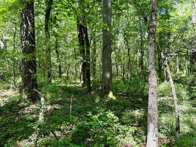 00 Fivel Ln, Ridgeville, SC 29472